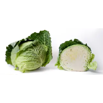 cabbage (5)-7572520-94474.webp